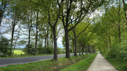 rondje Timmerholt en omgeving