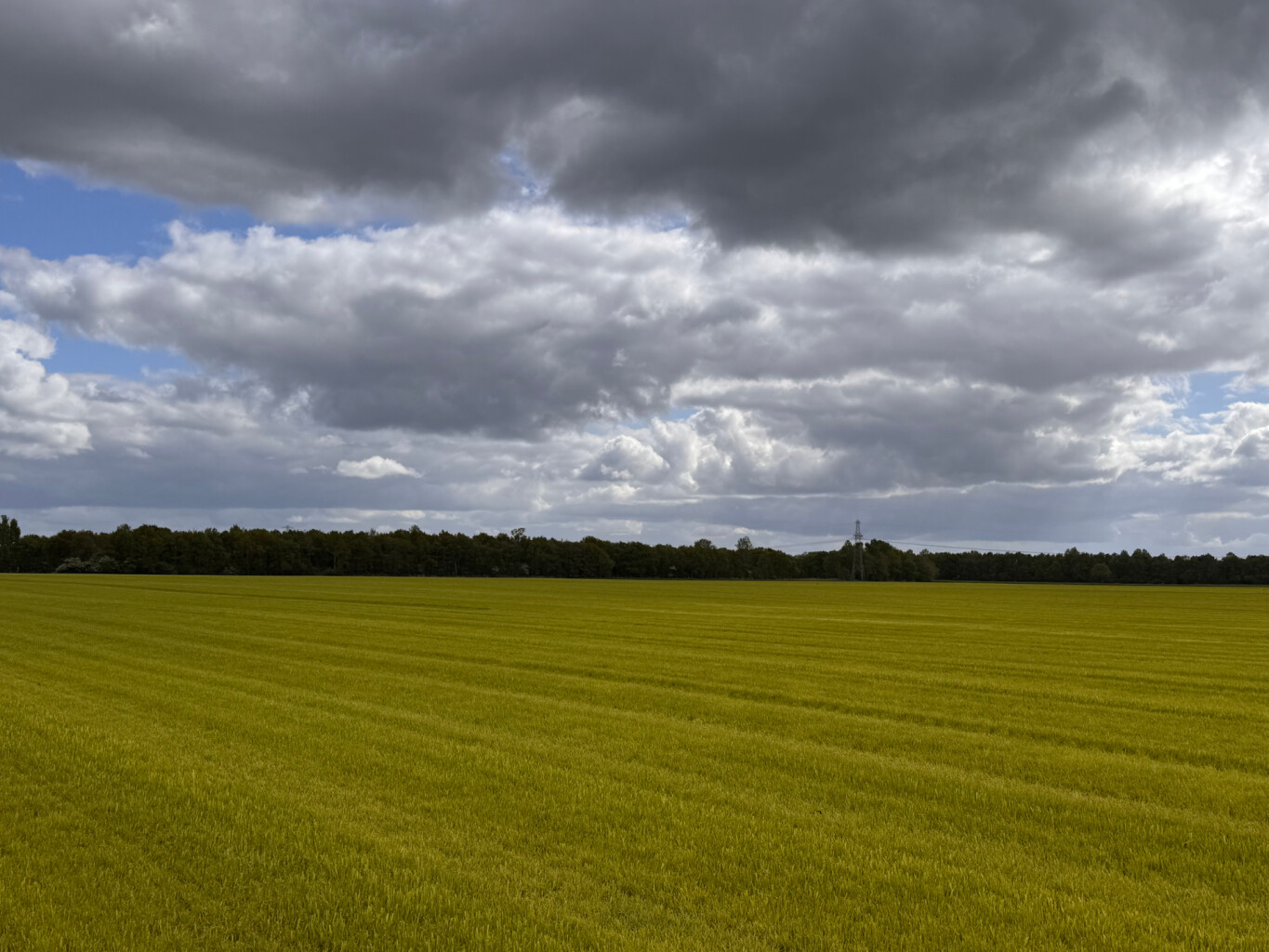 rondje Timmerholt en omgeving