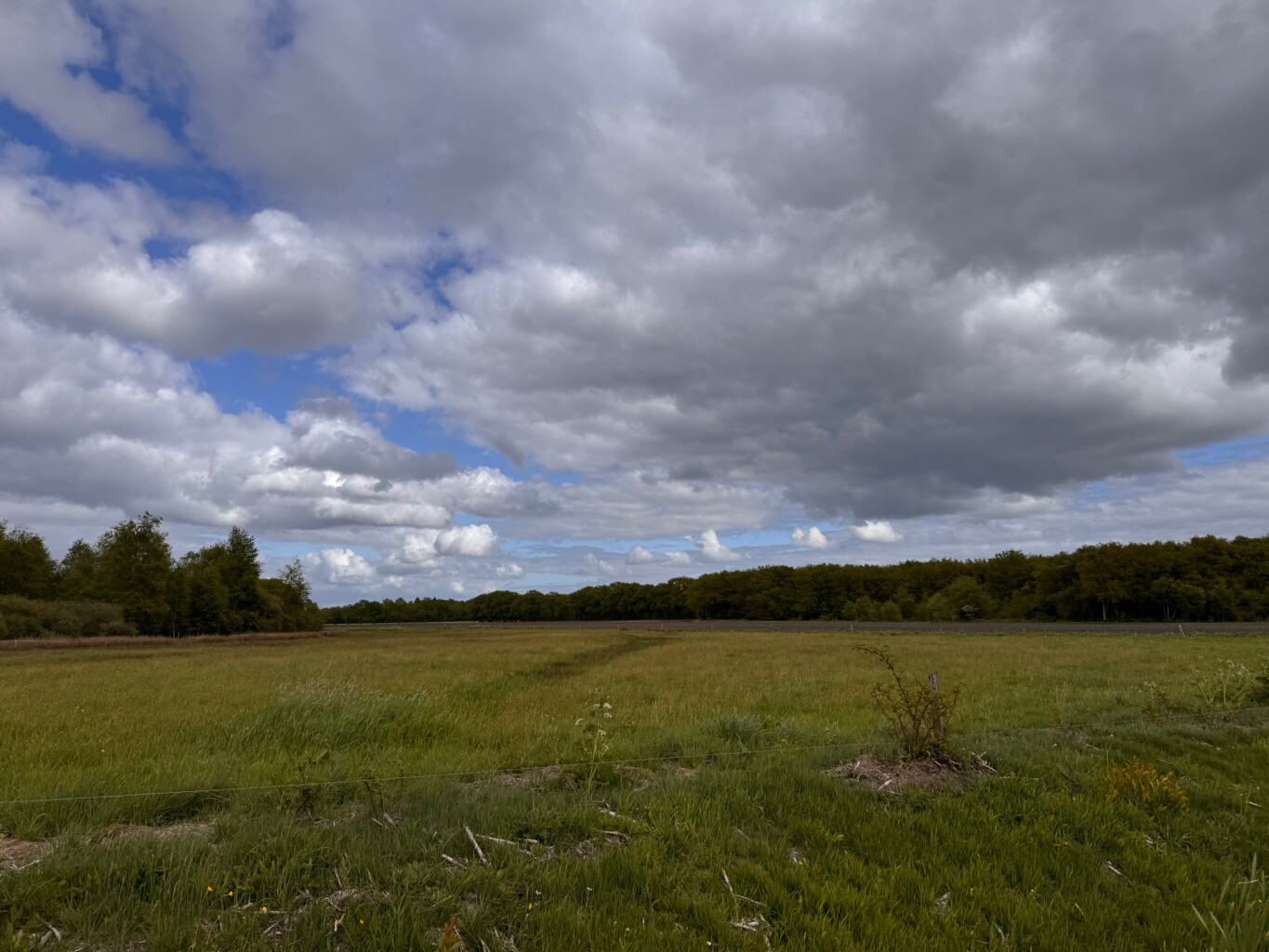 rondje Timmerholt en omgeving