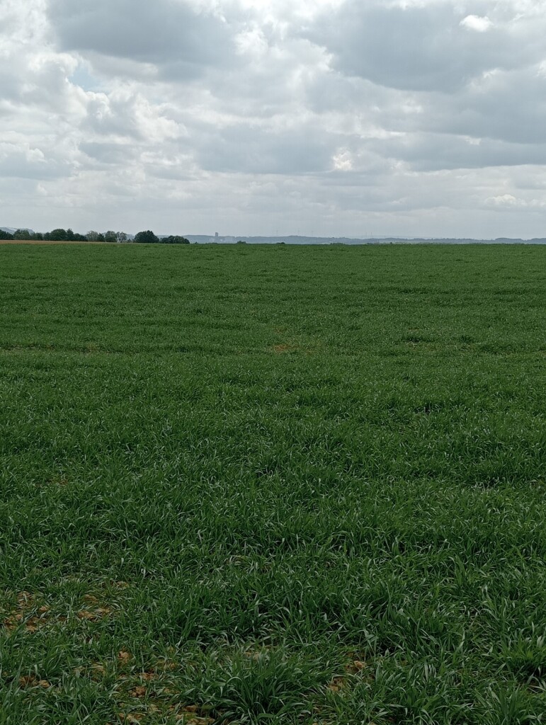 Pieterpad vanaf strabeek naar Puth