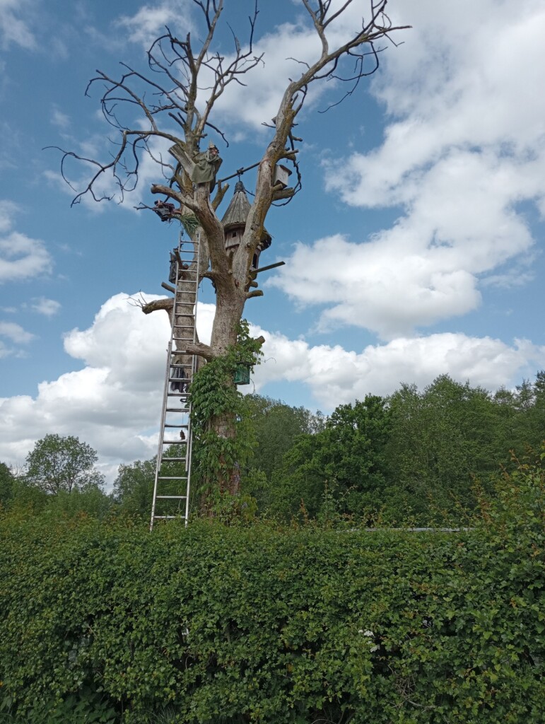 Pieterpad vanaf strabeek naar Puth