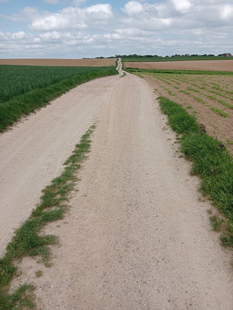 Pieterpad vanaf strabeek naar Puth