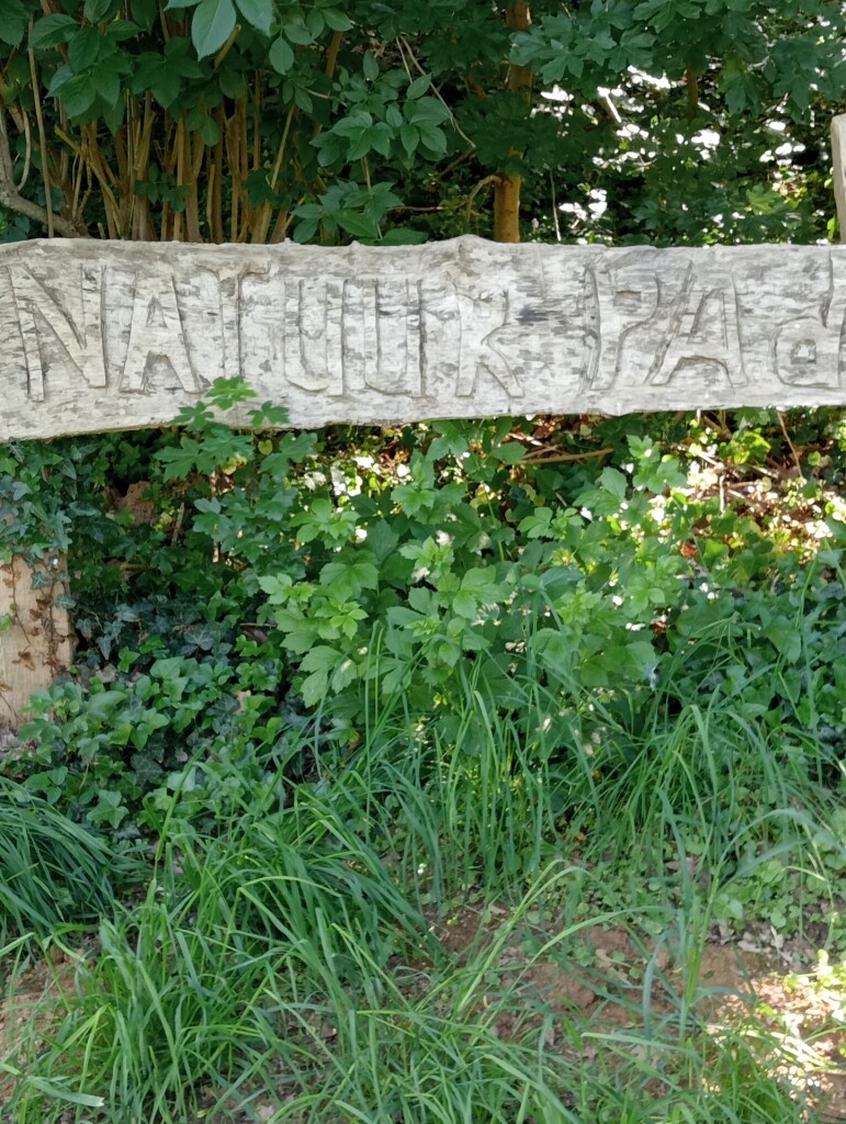 mooi heuvellandschap