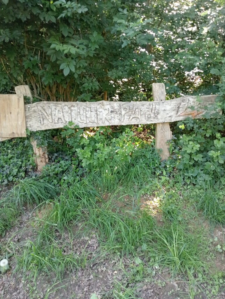 mooi heuvellandschap