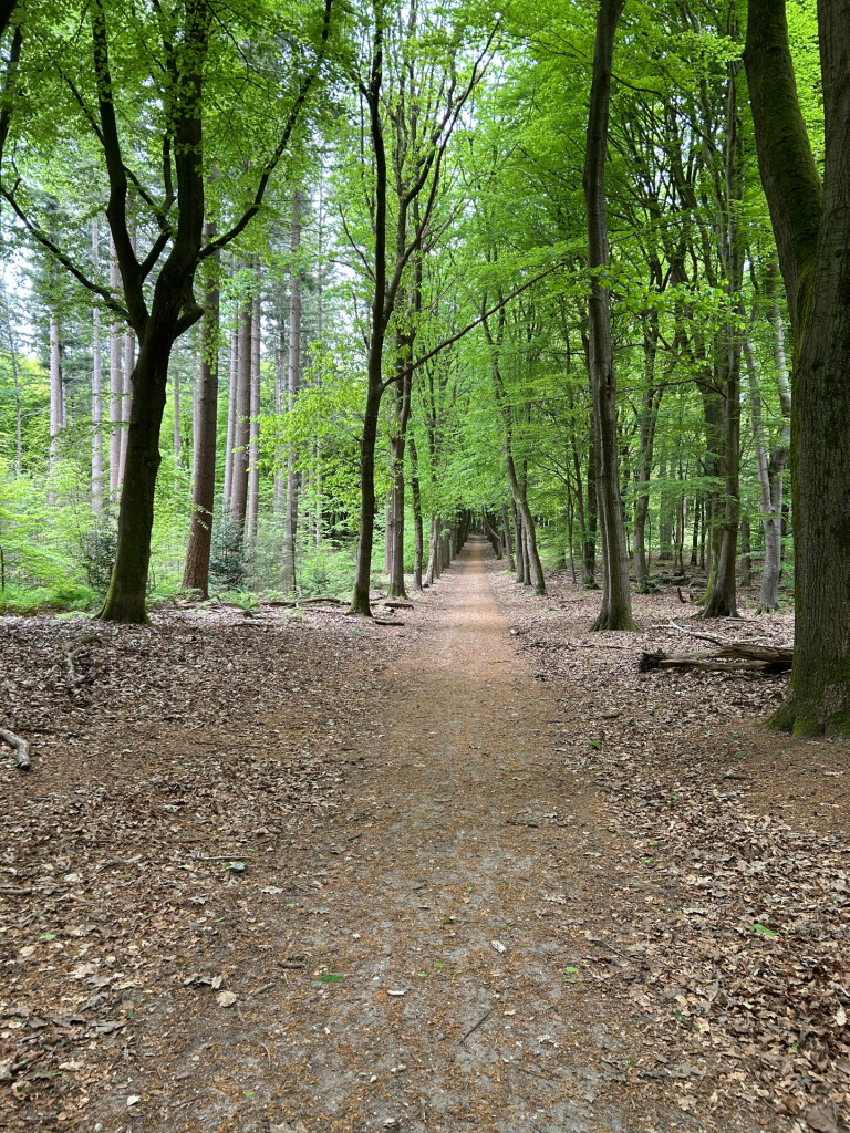 Wandelroute Putterbos