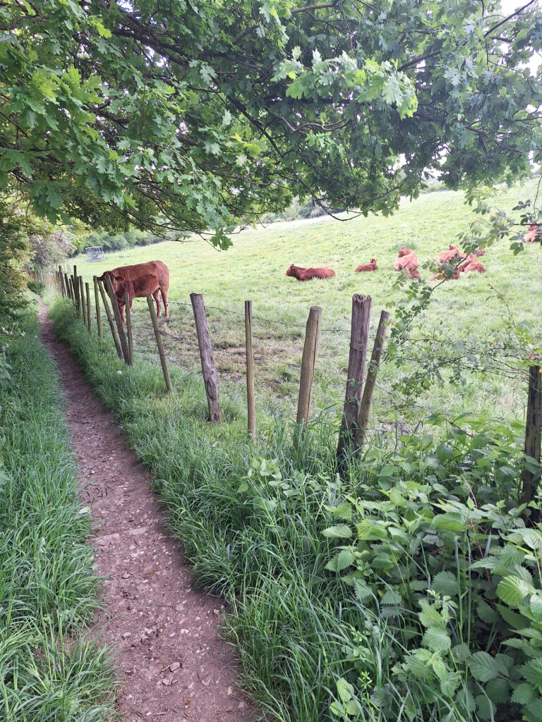 Mariadorp - Slenaken · Krijtlandpad etappe 2