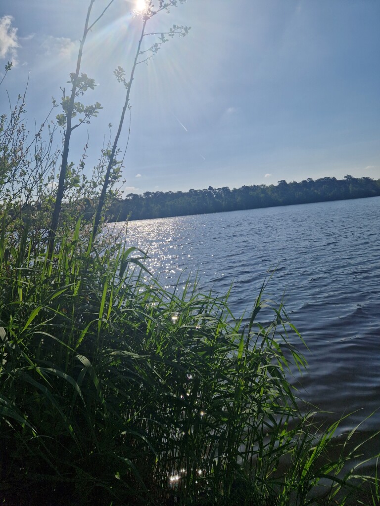 Wandelroute 14 vennen, bij Oisterwijk