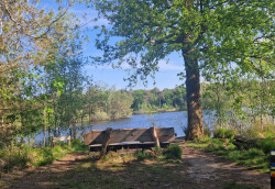 Wandelroute 14 vennen, bij Oisterwijk