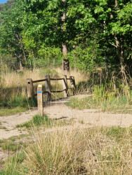 Wandelroute 14 vennen, bij Oisterwijk