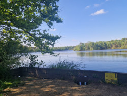 Wandelroute 14 vennen, bij Oisterwijk