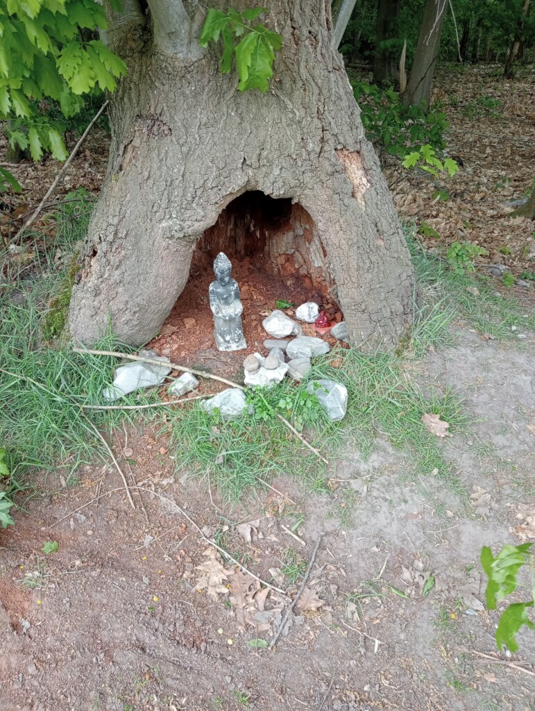 weer een mooie route