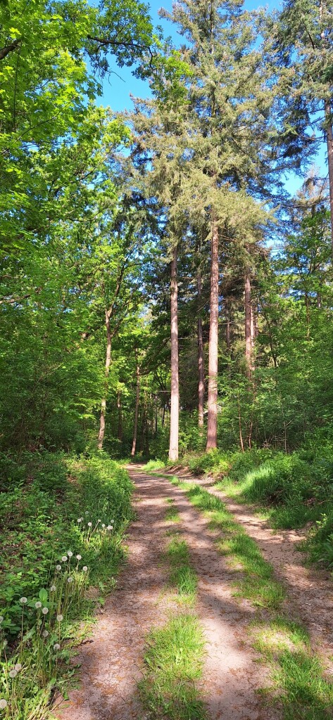 Infocentrum Den Nul - Blauw