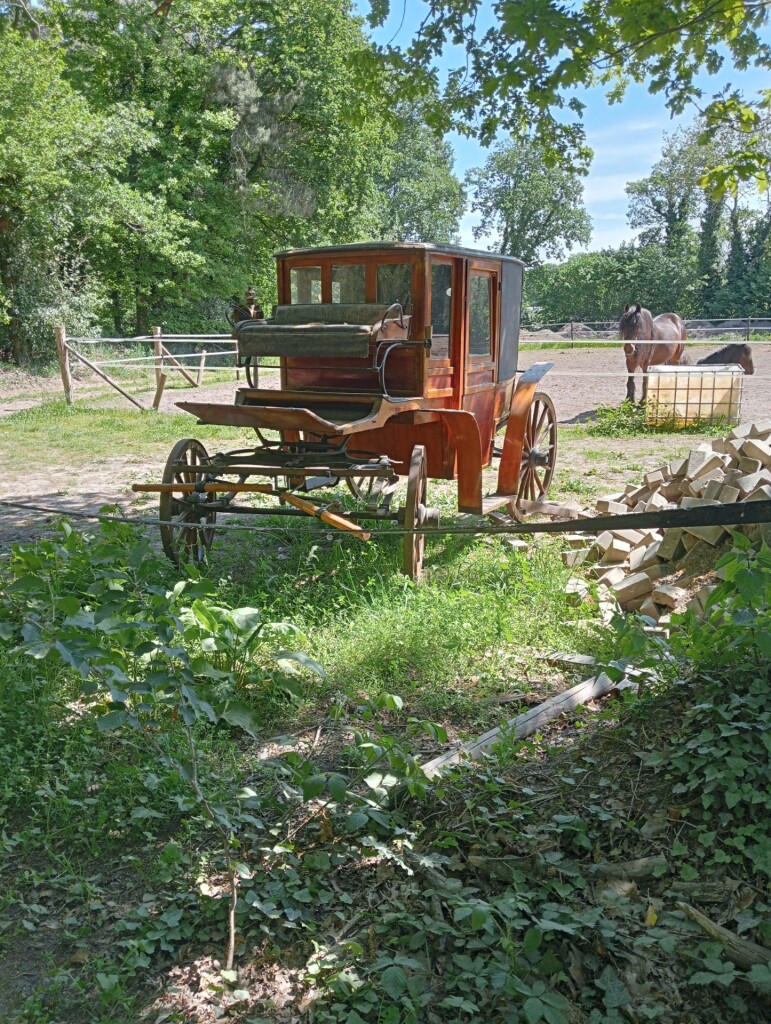 weer een mooie dag wandeling