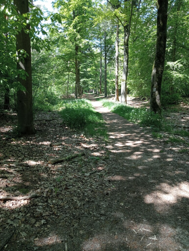 weer een mooie dag wandeling