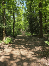 Wandelroute De Bult