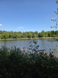 Wandelroute De Bult