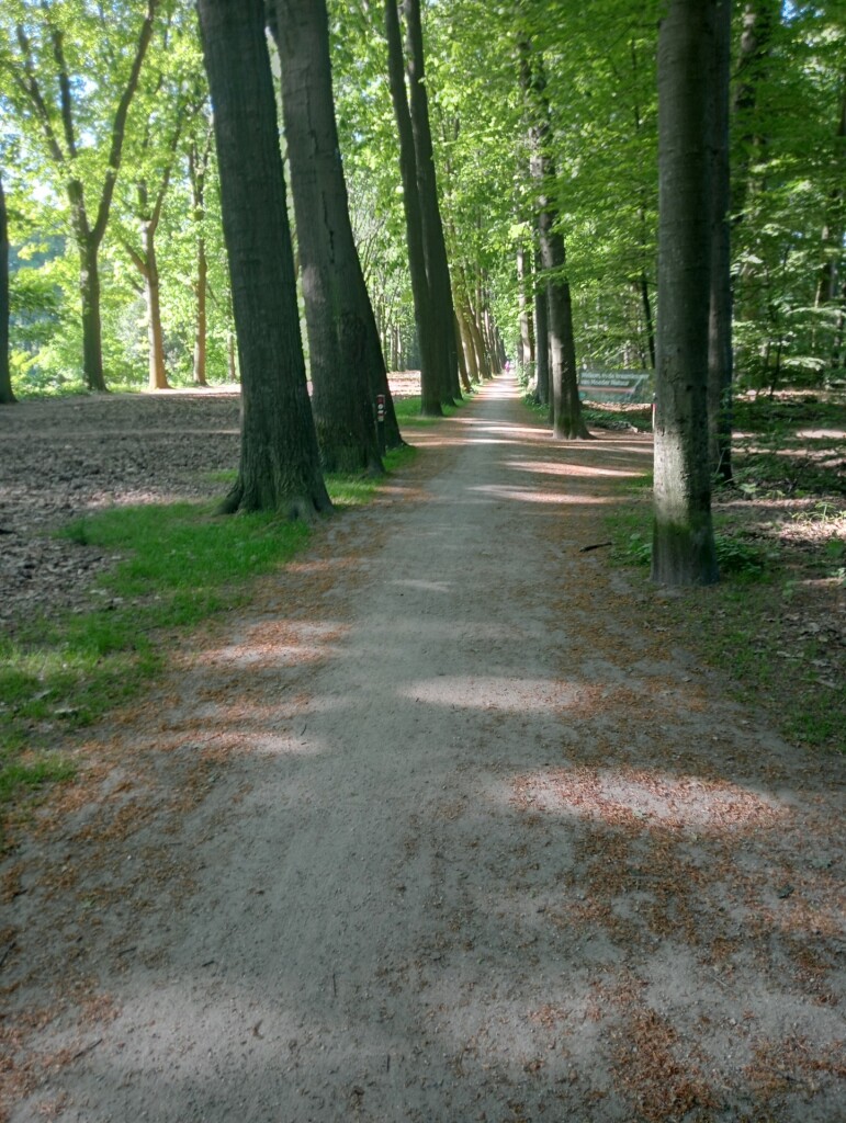 vorden en landgoed het zand