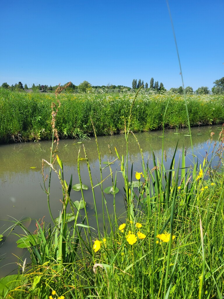 Kuilenburgerpad Culemborg