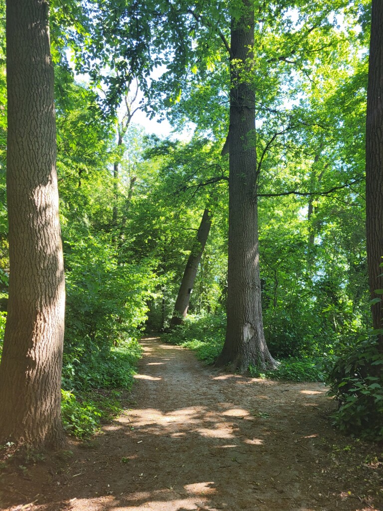 Kuilenburgerpad Culemborg