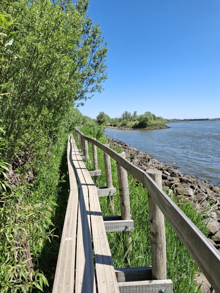 Langs de oevers van de Oude Maas