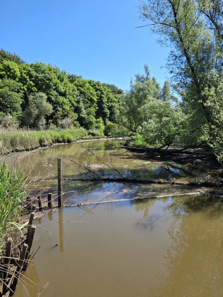 Langs de oevers van de Oude Maas