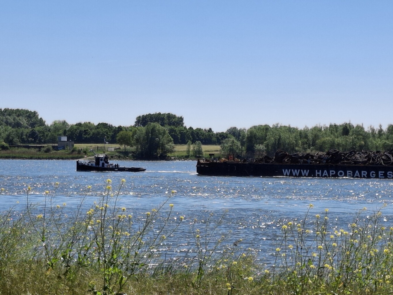 Langs de oevers van de Oude Maas