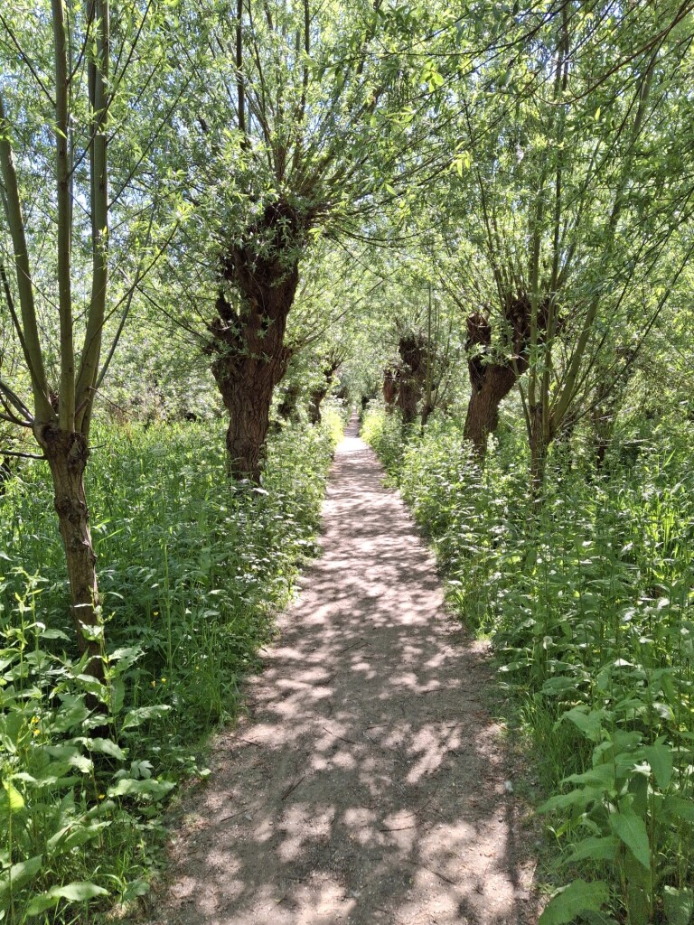 Langs de oevers van de Oude Maas