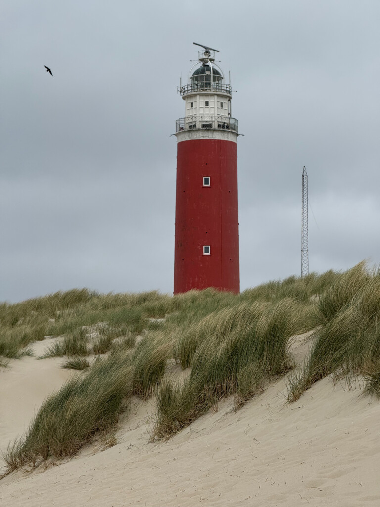 Texel naar vuurtoren