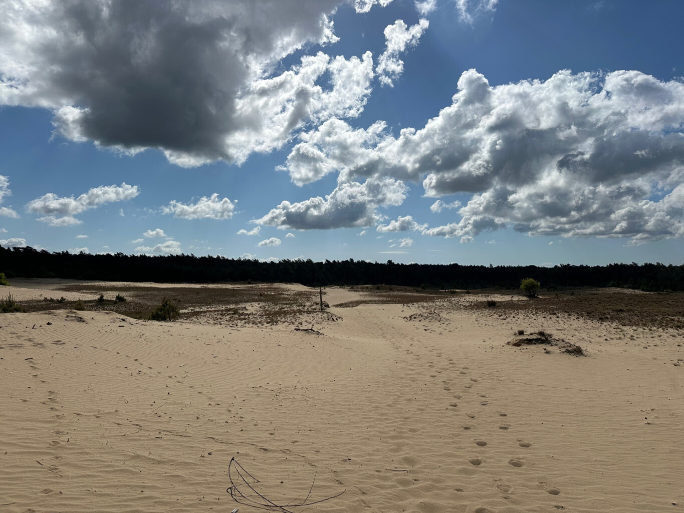 Hoenderloo - Kootwijk · Marskramerpad etappe 10