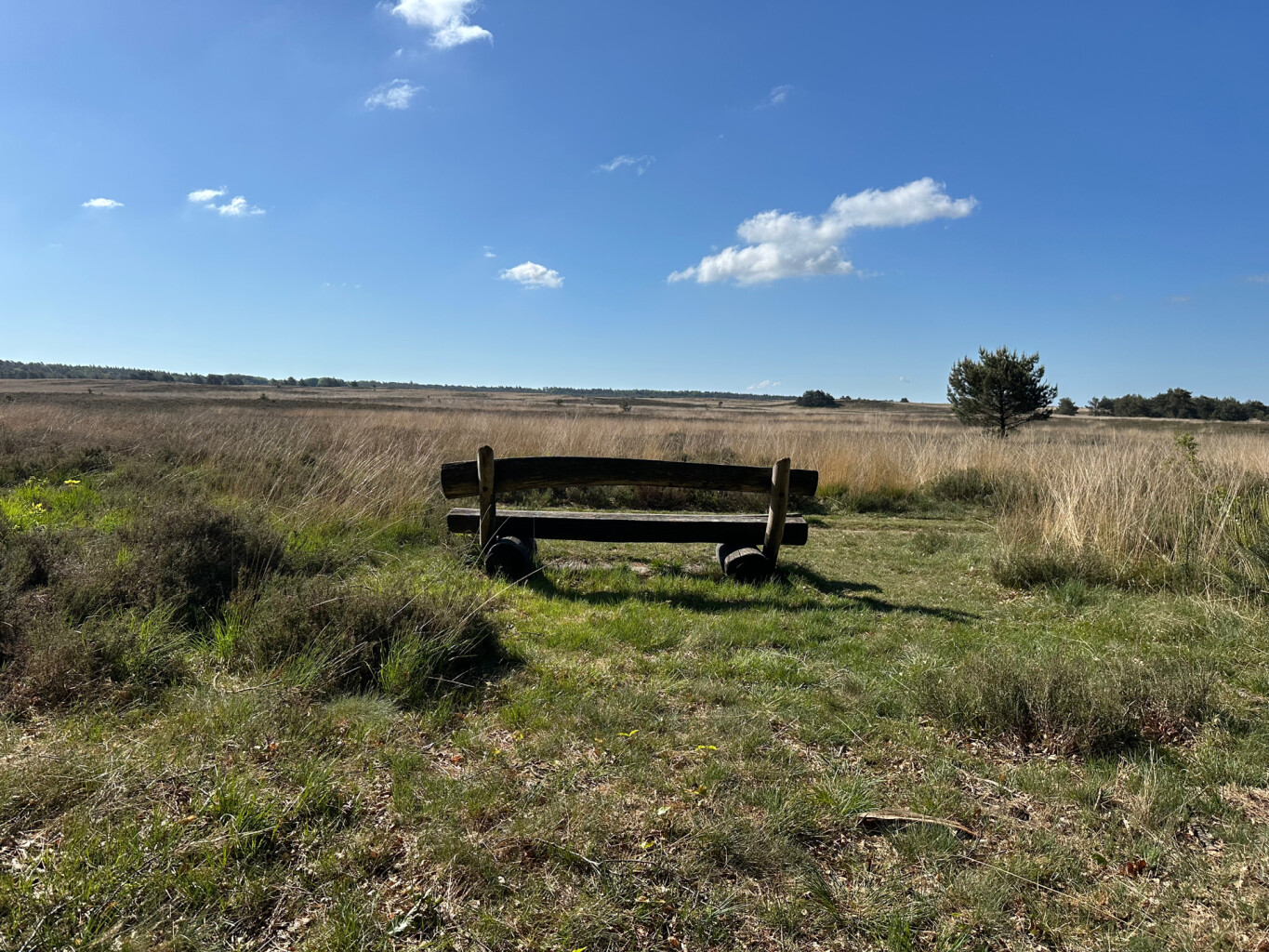 Hoenderloo - Kootwijk · Marskramerpad etappe 10