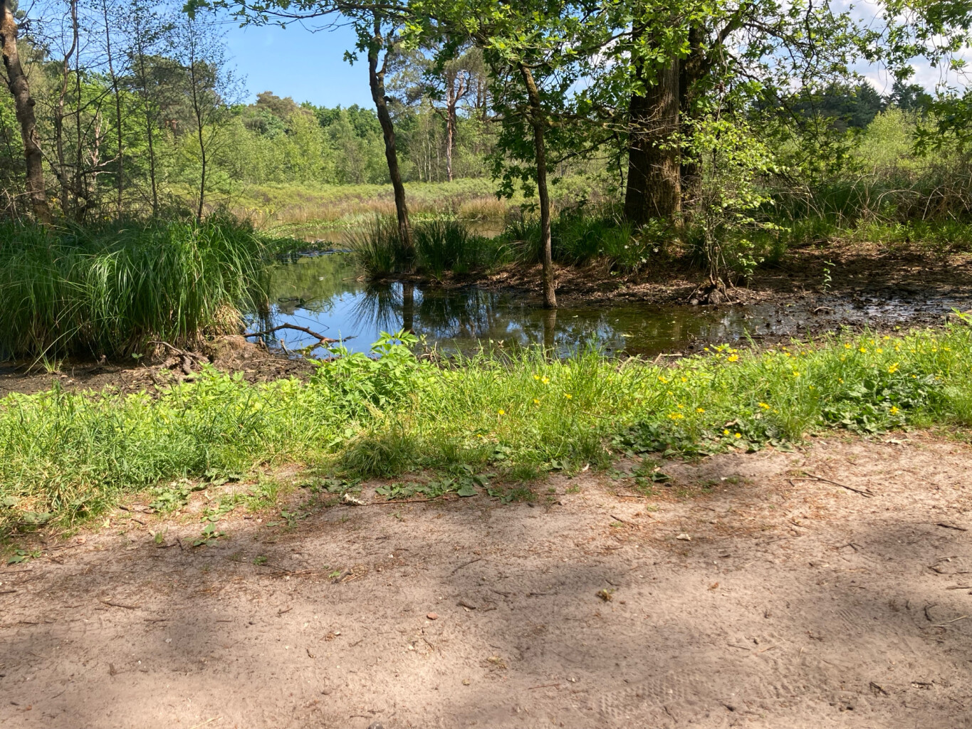 Van Gogh NP wandelroute Tilburg