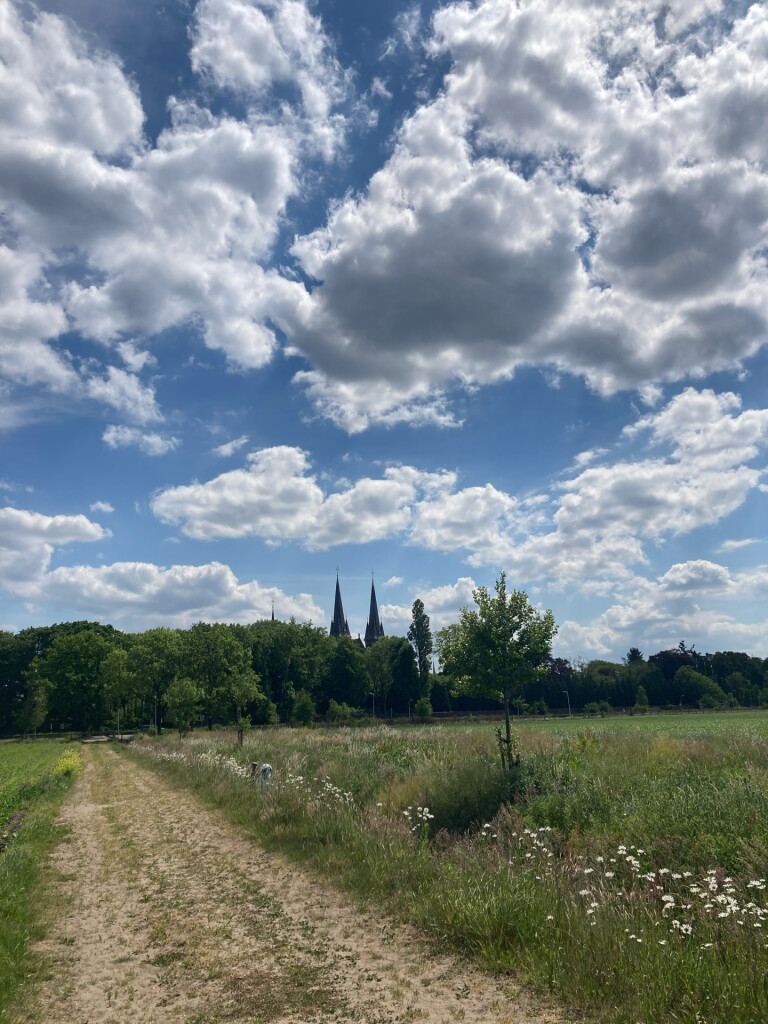 Van Gogh NP wandelroute Tilburg