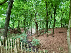 Plasmolen - Milsbeek · Maas-Niederrheinpad etappe 6