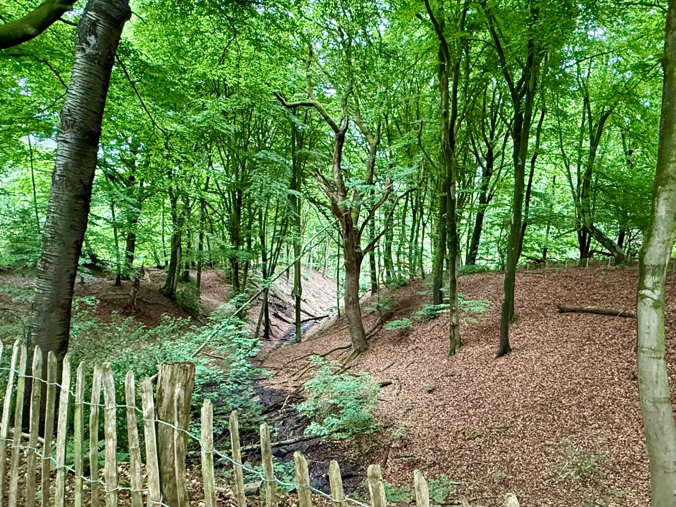 Plasmolen - Milsbeek · Maas-Niederrheinpad etappe 6