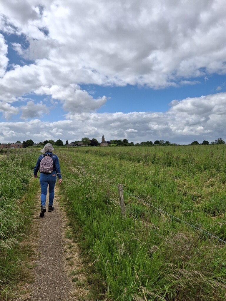 Station Tiel - Buren (bushalte Plantsoen) · Betuwepad etappe 1