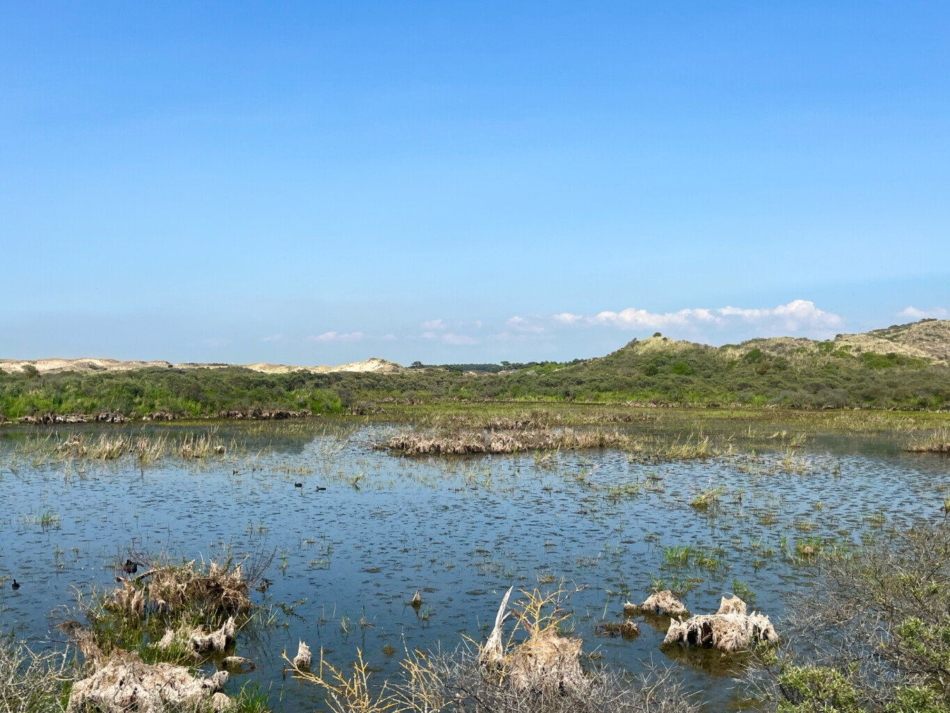 Tien Bergenroute (blauw)