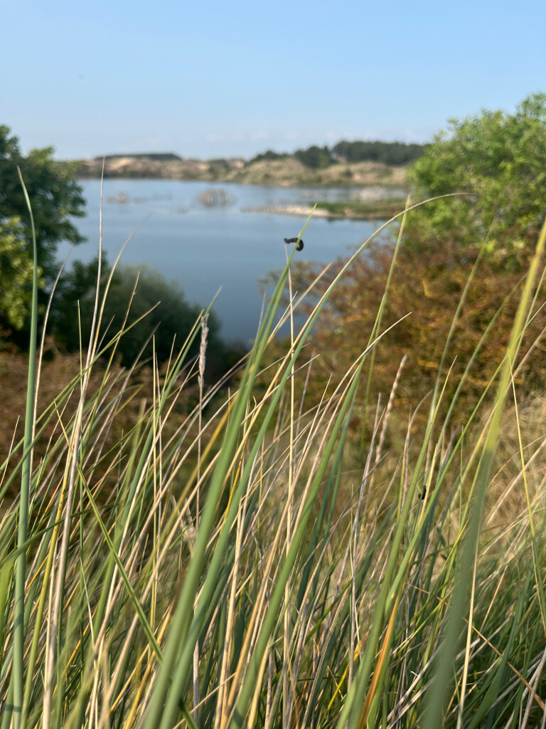 Tien Bergenroute (blauw)