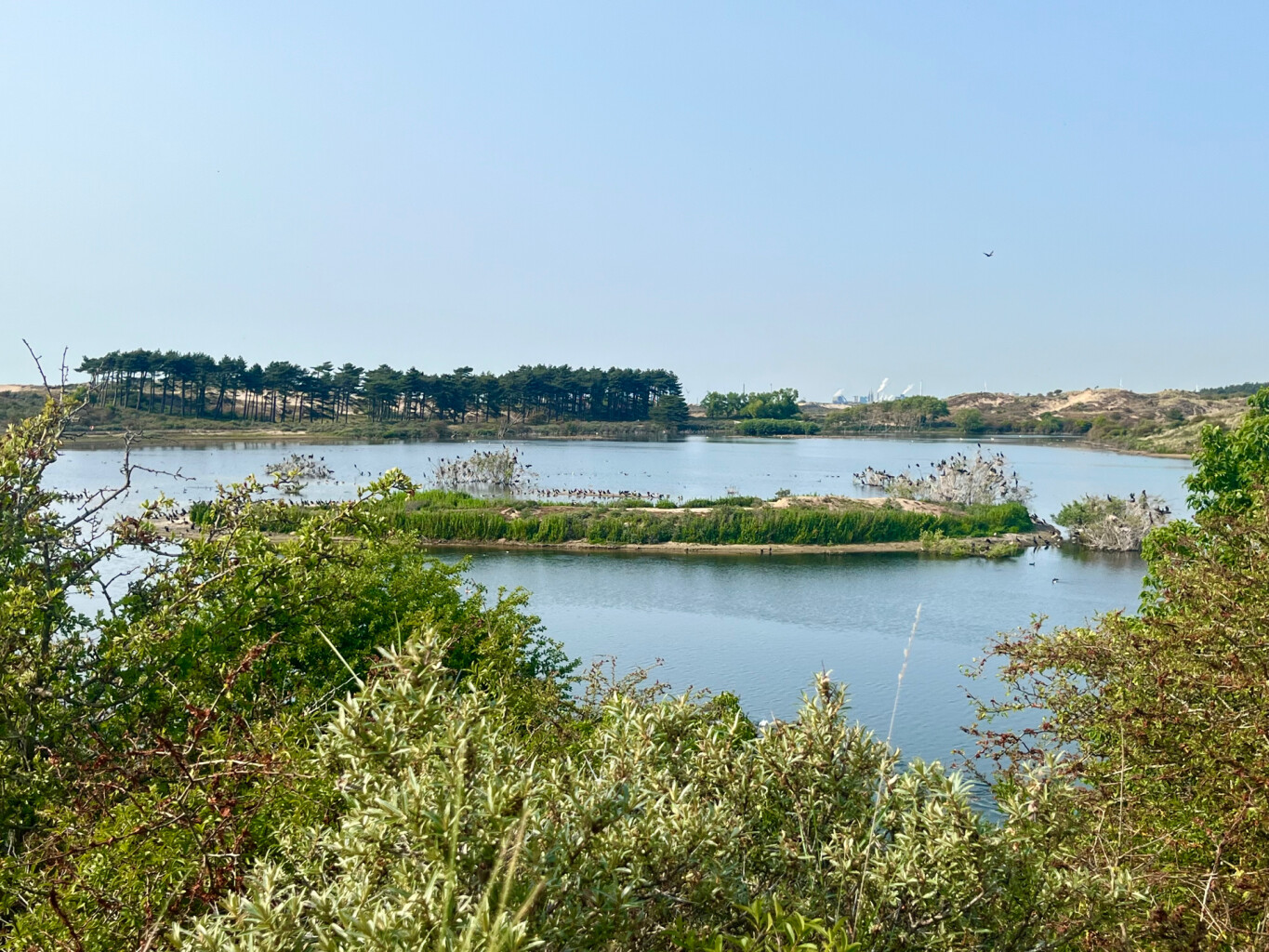 Tien Bergenroute (blauw)