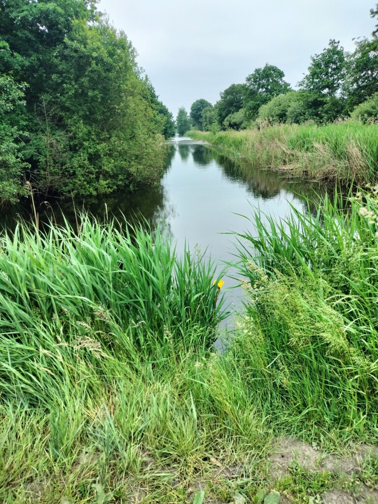 Zwollings · Klaverblad Sleen etappe 1