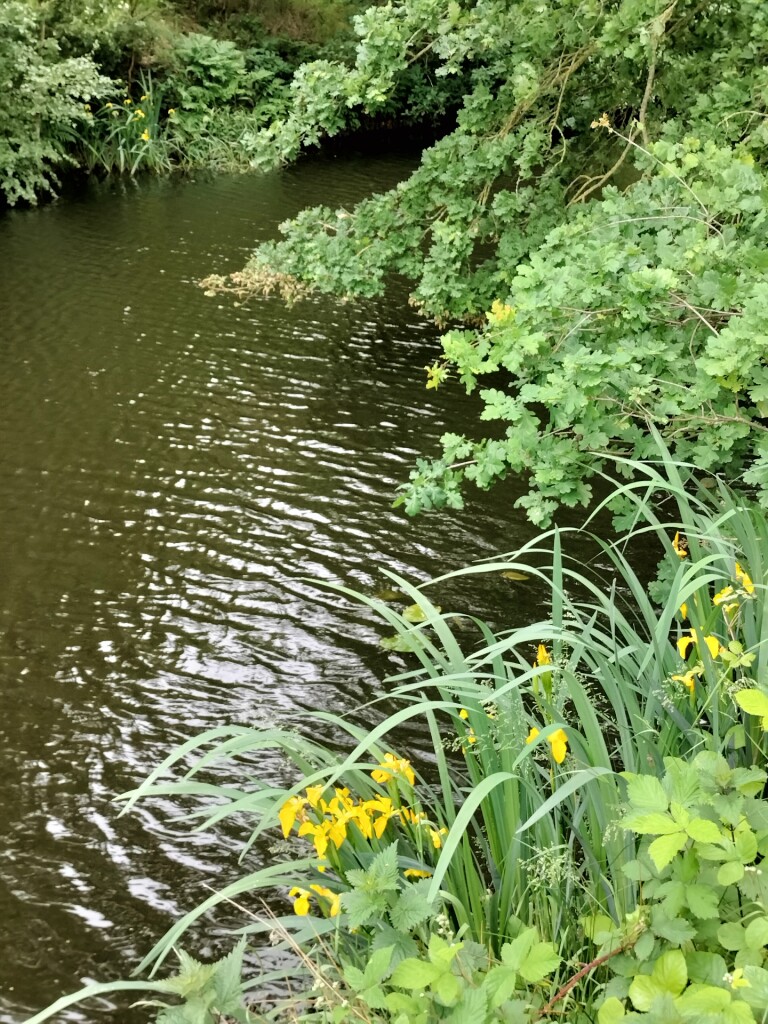 Zwollings · Klaverblad Sleen etappe 1