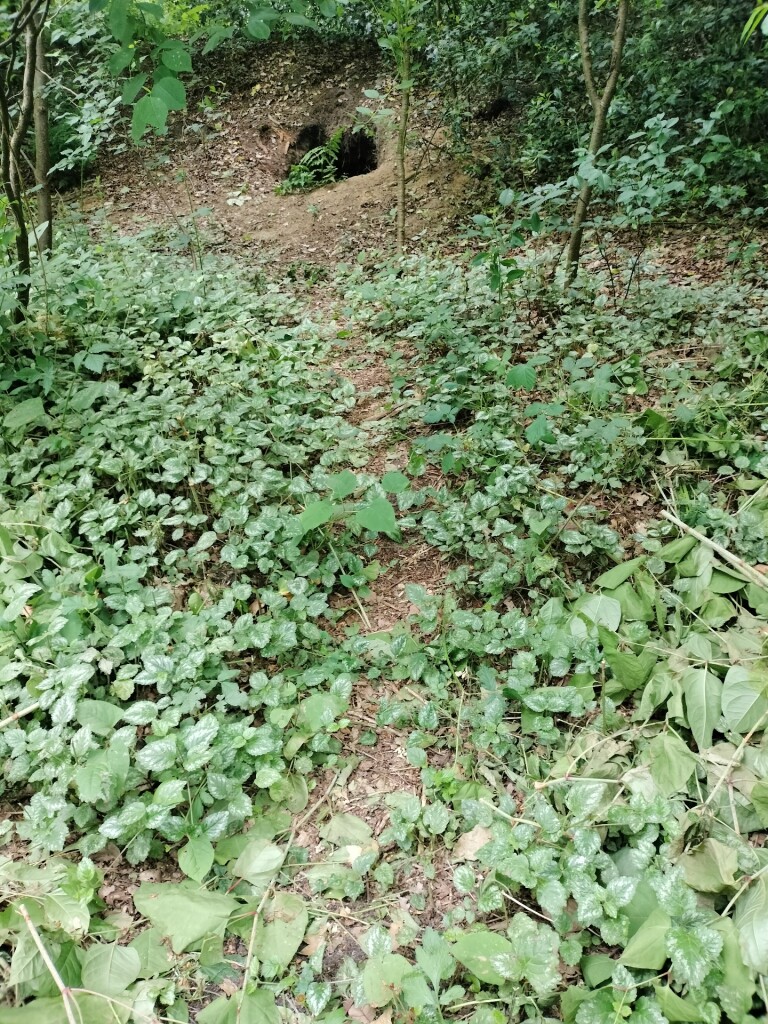 Zwollings · Klaverblad Sleen etappe 1