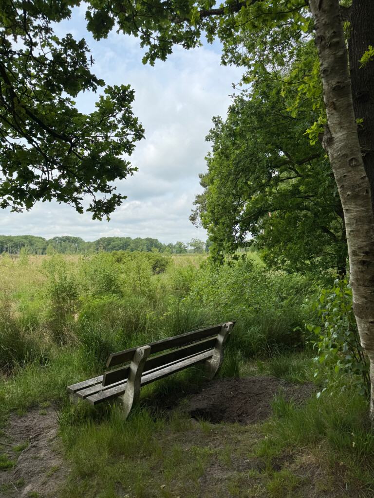 Wandelroute Appelbergen