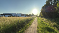 Weusthag - Geel
