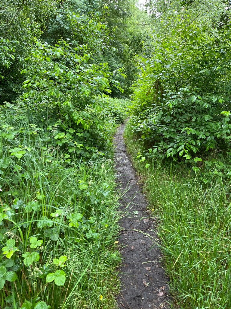 pieterpad 7de etappe