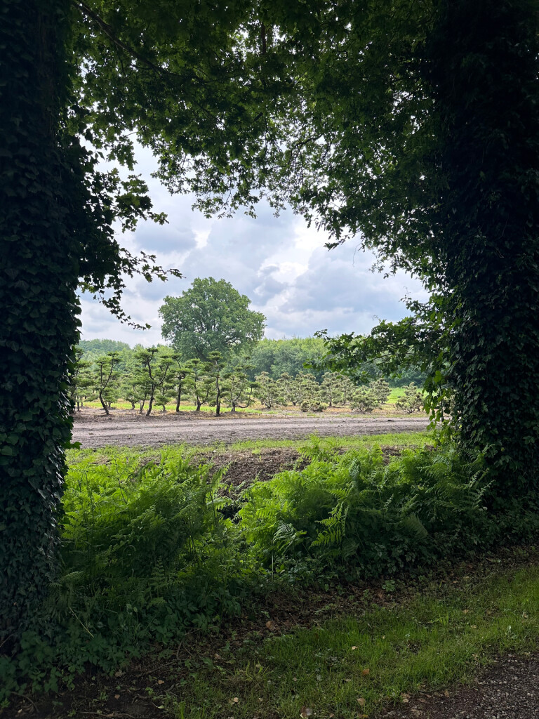 Oldenzaal - Borne · Marskramerpad etappe 2