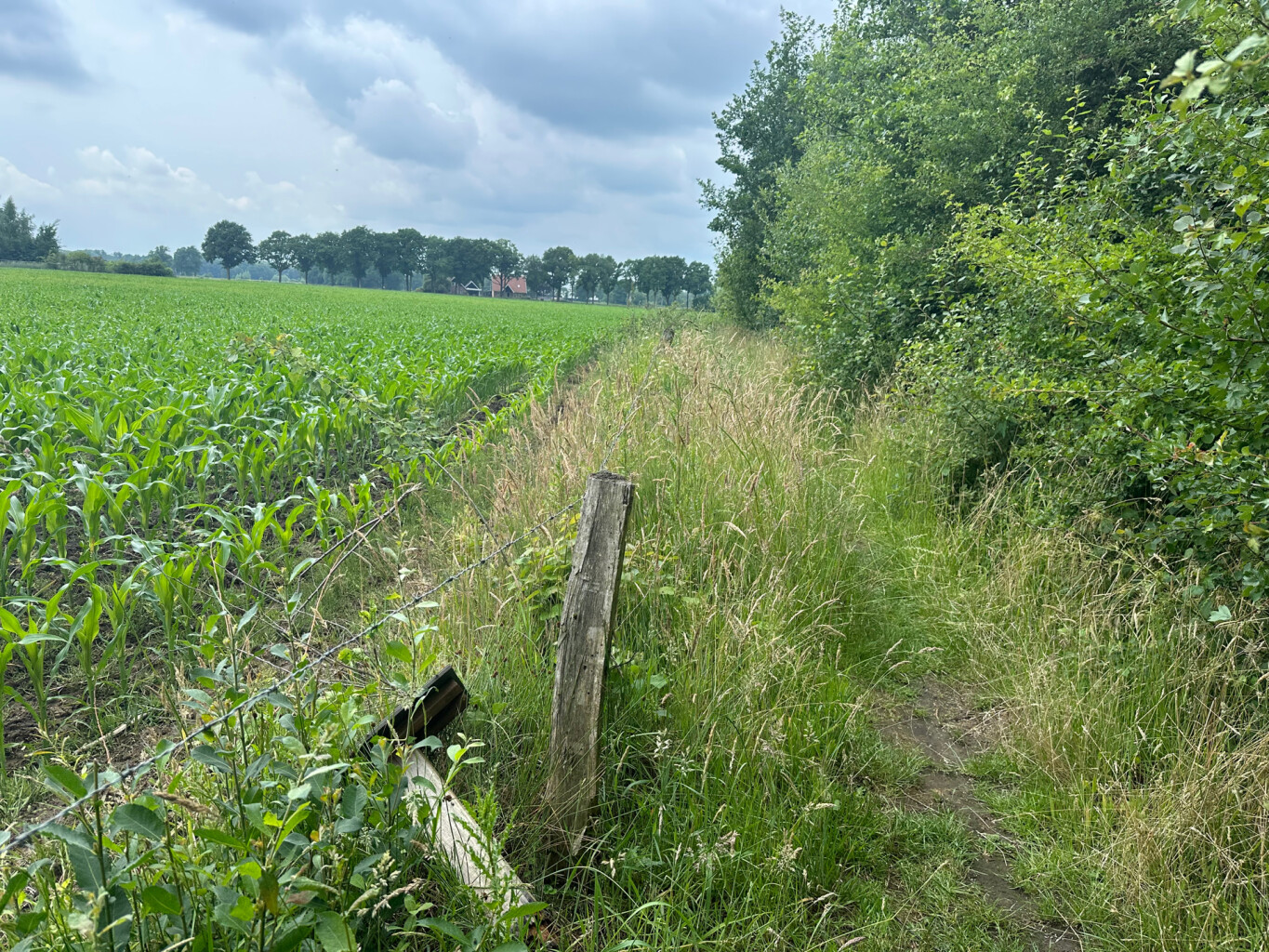 Oldenzaal - Borne · Marskramerpad etappe 2