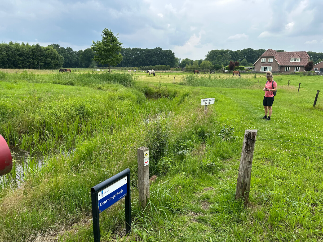 Oldenzaal - Borne · Marskramerpad etappe 2