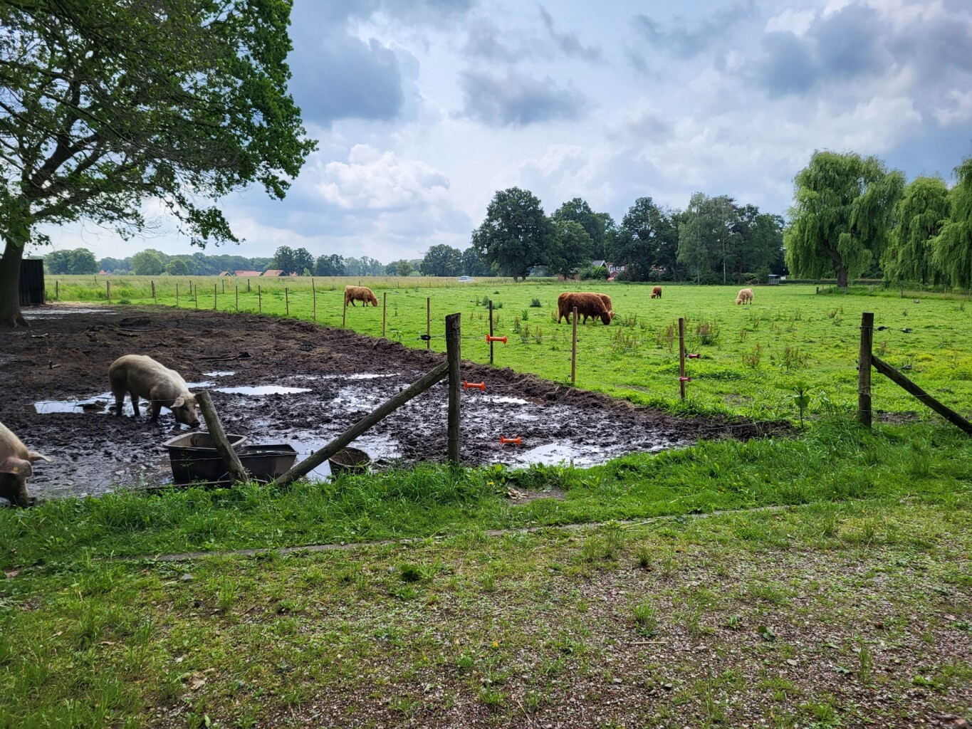 Zenderen - Beckum · Hilligenpad etappe 6