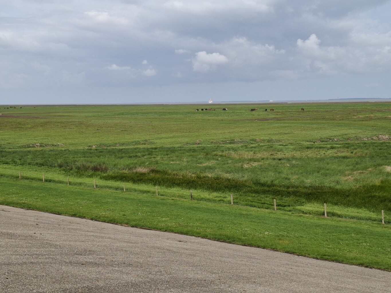 Nederlands Kustpad 3