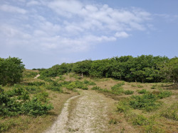 Bergen aan Zee